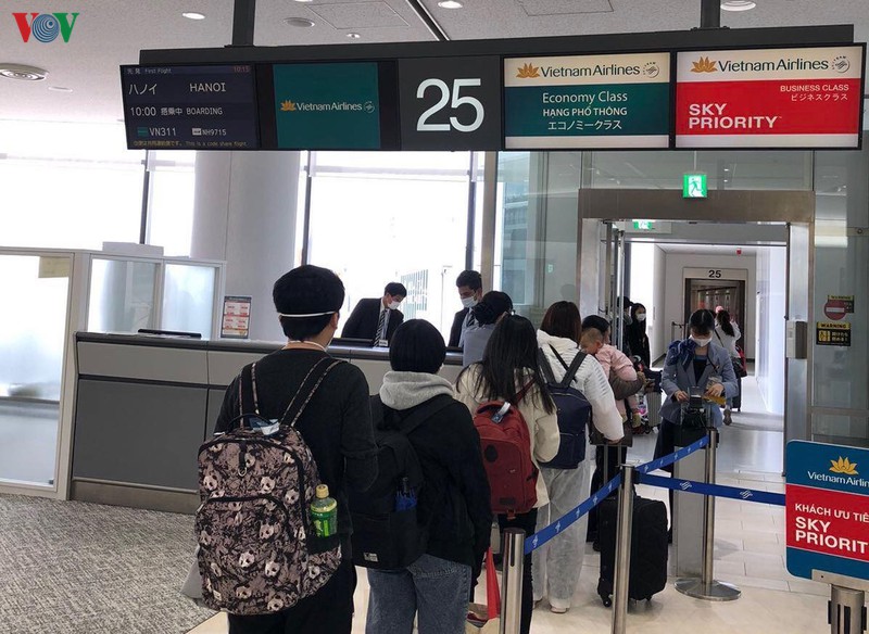 将逾300名越南公民从日本接送回国