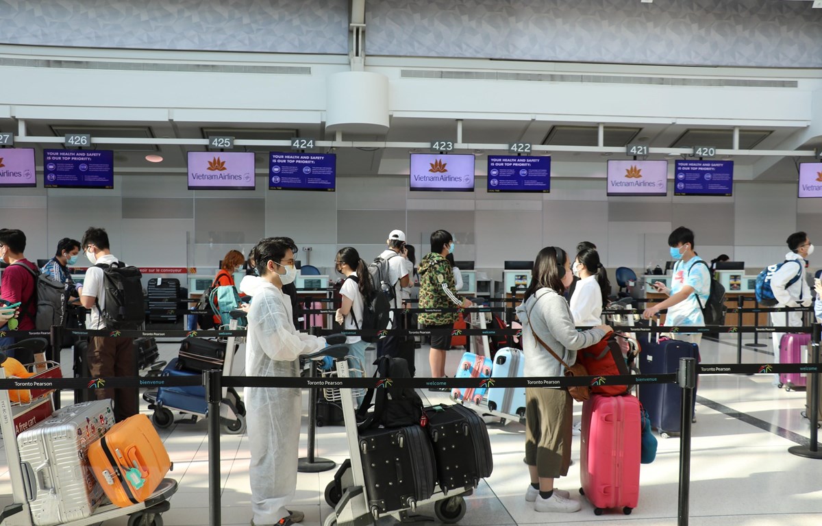 将343名越南公民从加拿大安全接送回国