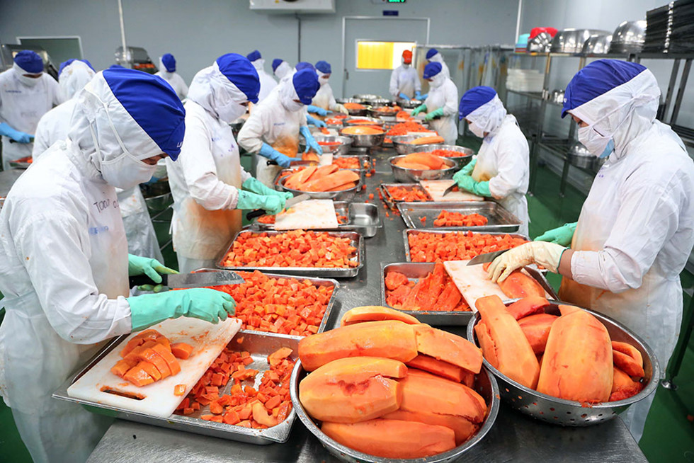 EVFTA 和EVIPA获批：开启越南和欧盟关系新起点