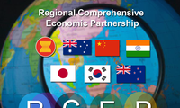 RCEP协定有望为国际和地区贸易打开新局面