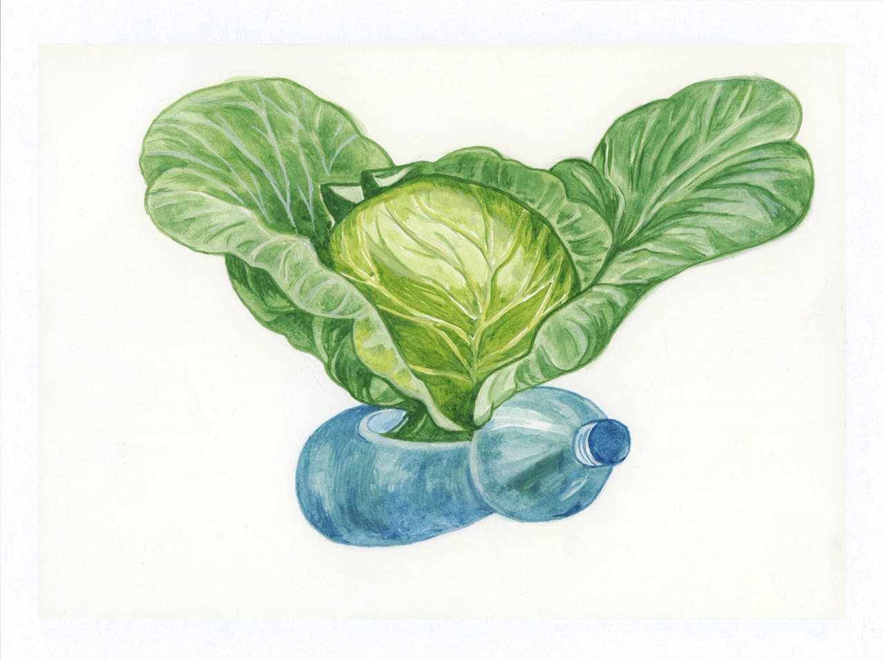 国际回信券设计比赛结果揭晓