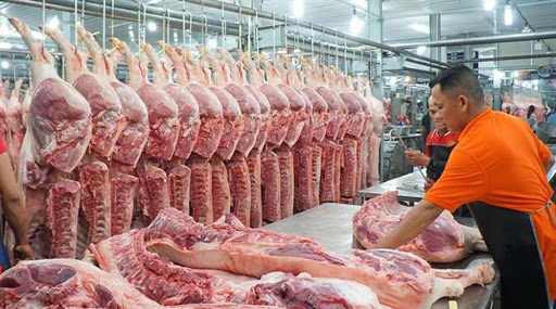 越南八家企业具备从泰国进口活猪的条件