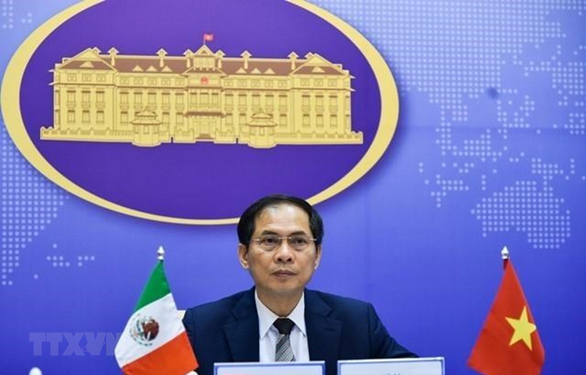 越南与墨西哥两国外交部副部长举行视频会谈