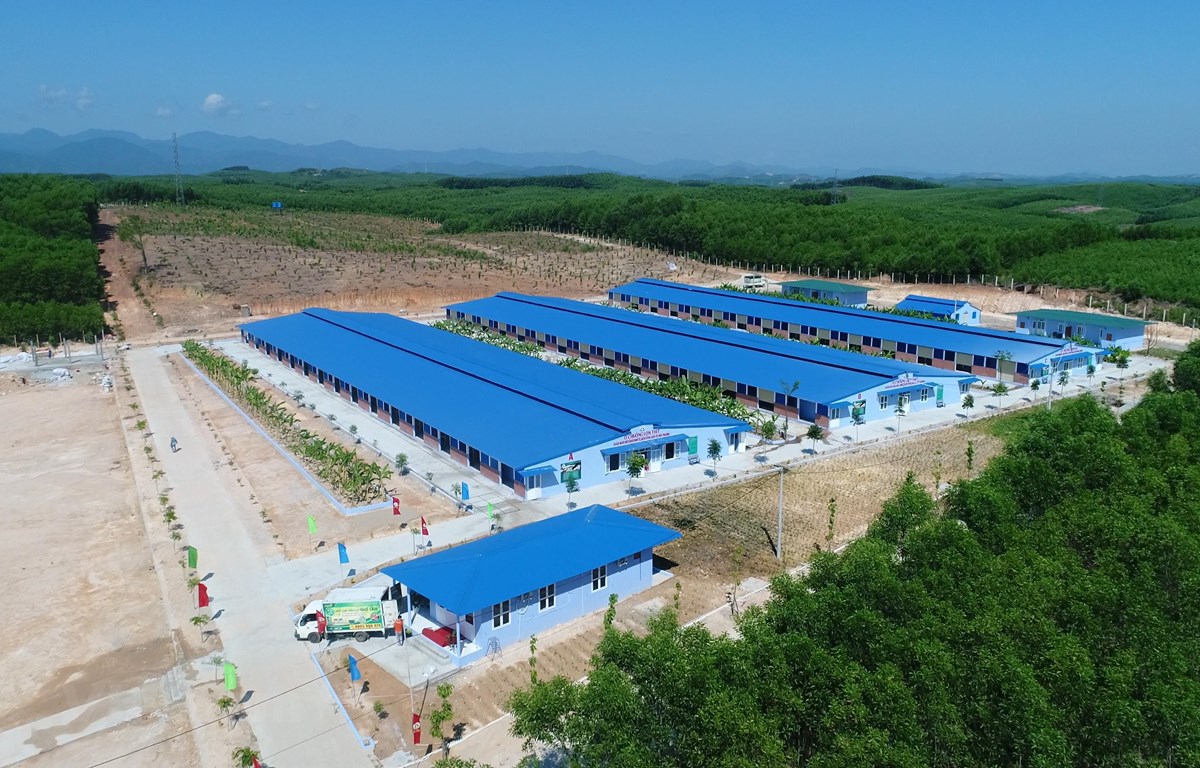承天-顺化省4F生物安全养殖综合体项目落成竣工