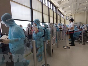 越南将280名公民从俄罗斯和白俄罗斯接回国