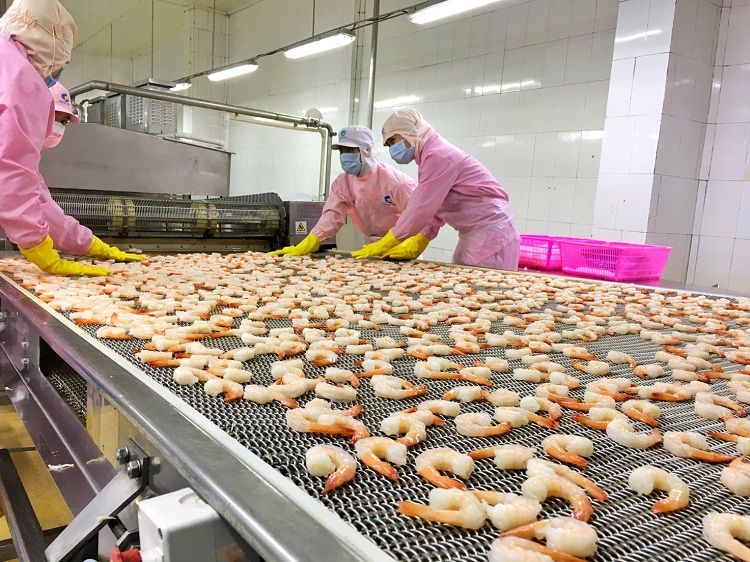 越南国会颁布关于批准EVFTA、EVIPA协定的决议