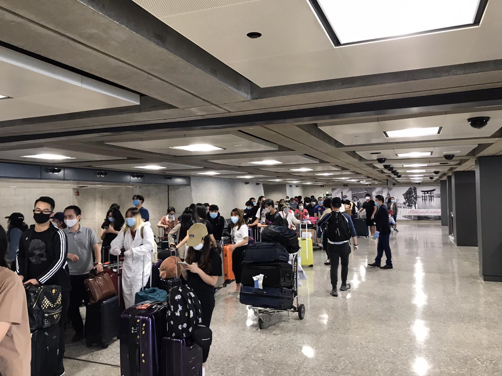 越南将在美国的346位公民接送回国