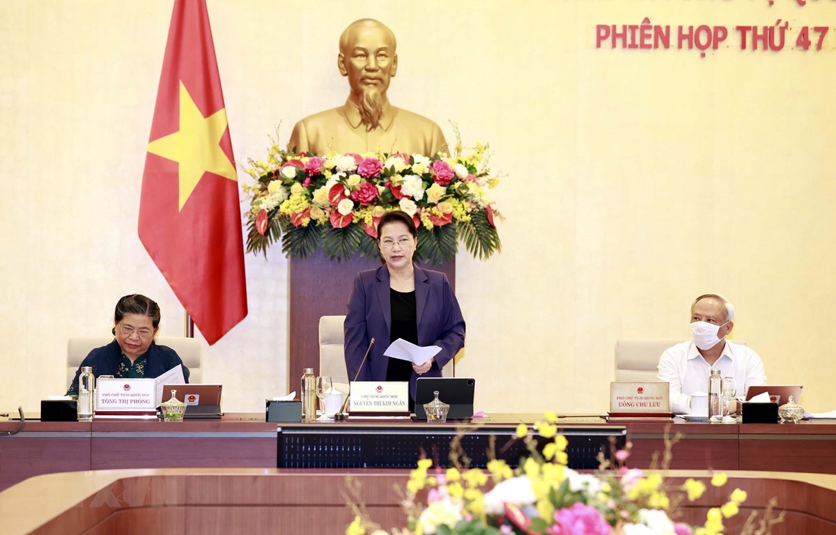 国会主席阮氏金银：整个政治体系团结一新，集中精力防控疫情