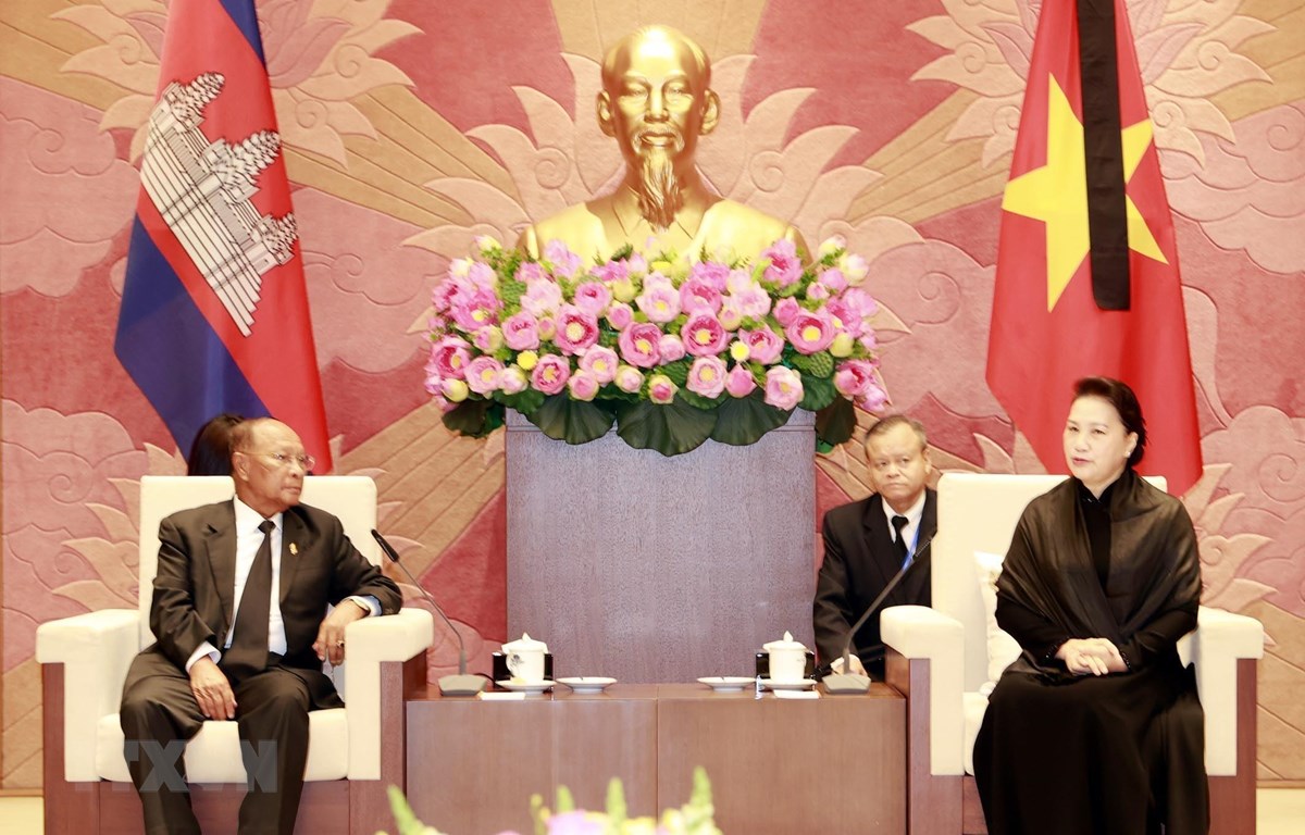 越南国会主席阮氏金银会见柬埔寨国会主席韩桑林