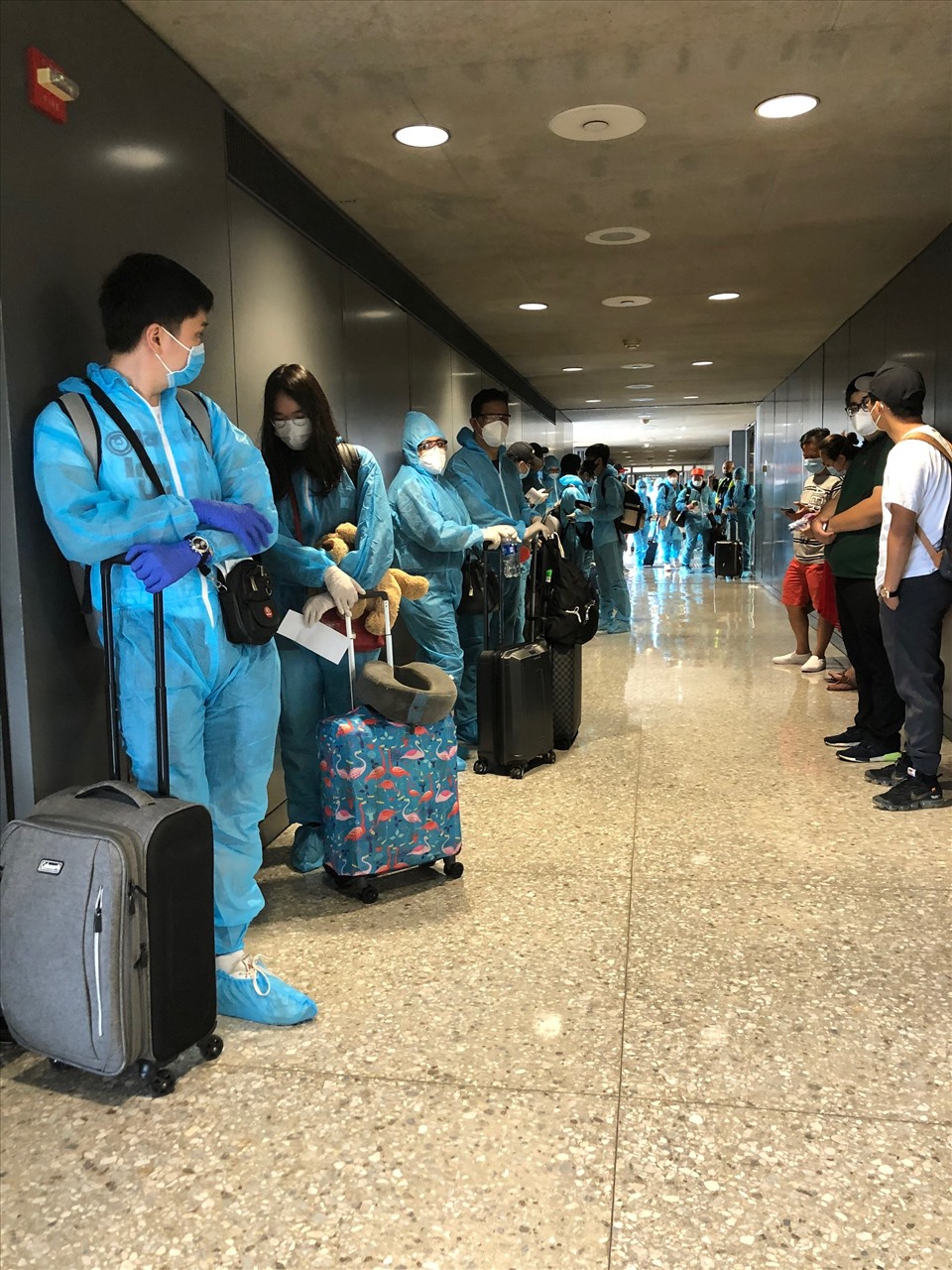 新冠肺炎疫情：越南将在新加坡和美国的近600名公民安全接回国