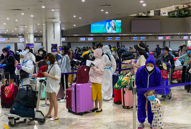 新冠肺炎疫情：越南将在菲律宾的近240名公民安全接送回国