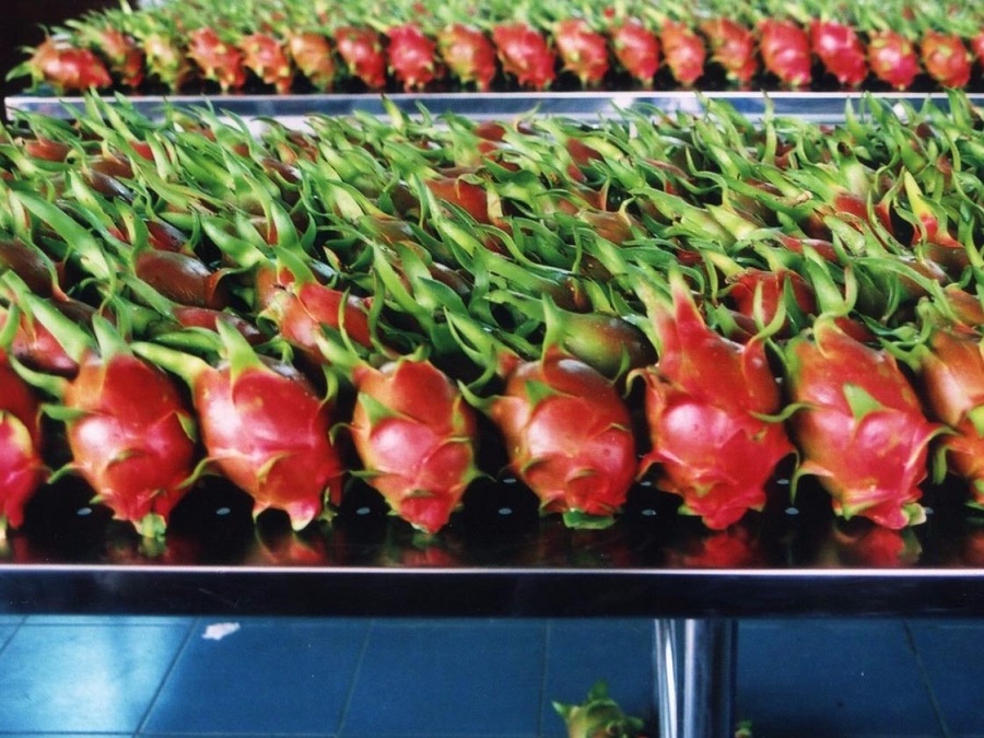 越南优质产品展览中心在泰国开设