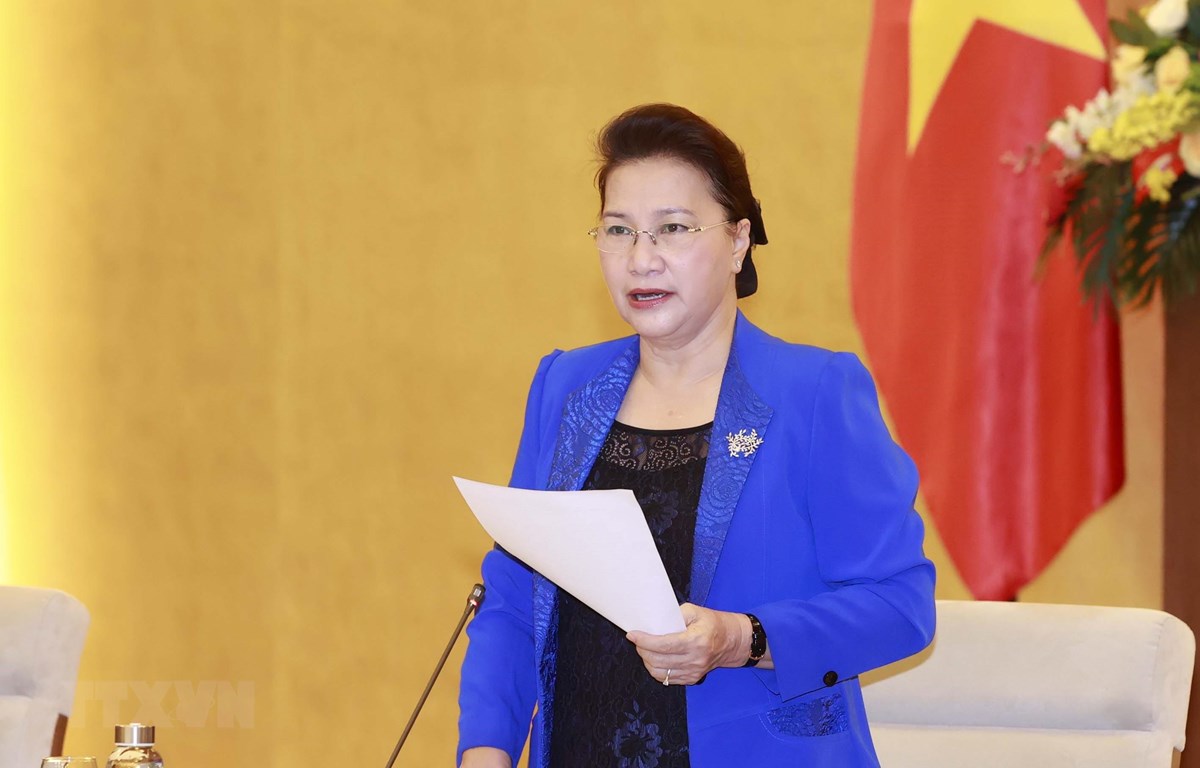 国会主席阮氏金银主持召开AIPA 41国家指导委员会第二次会议