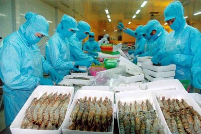 越南674家水产企业获得出口中国台湾市场的许可证