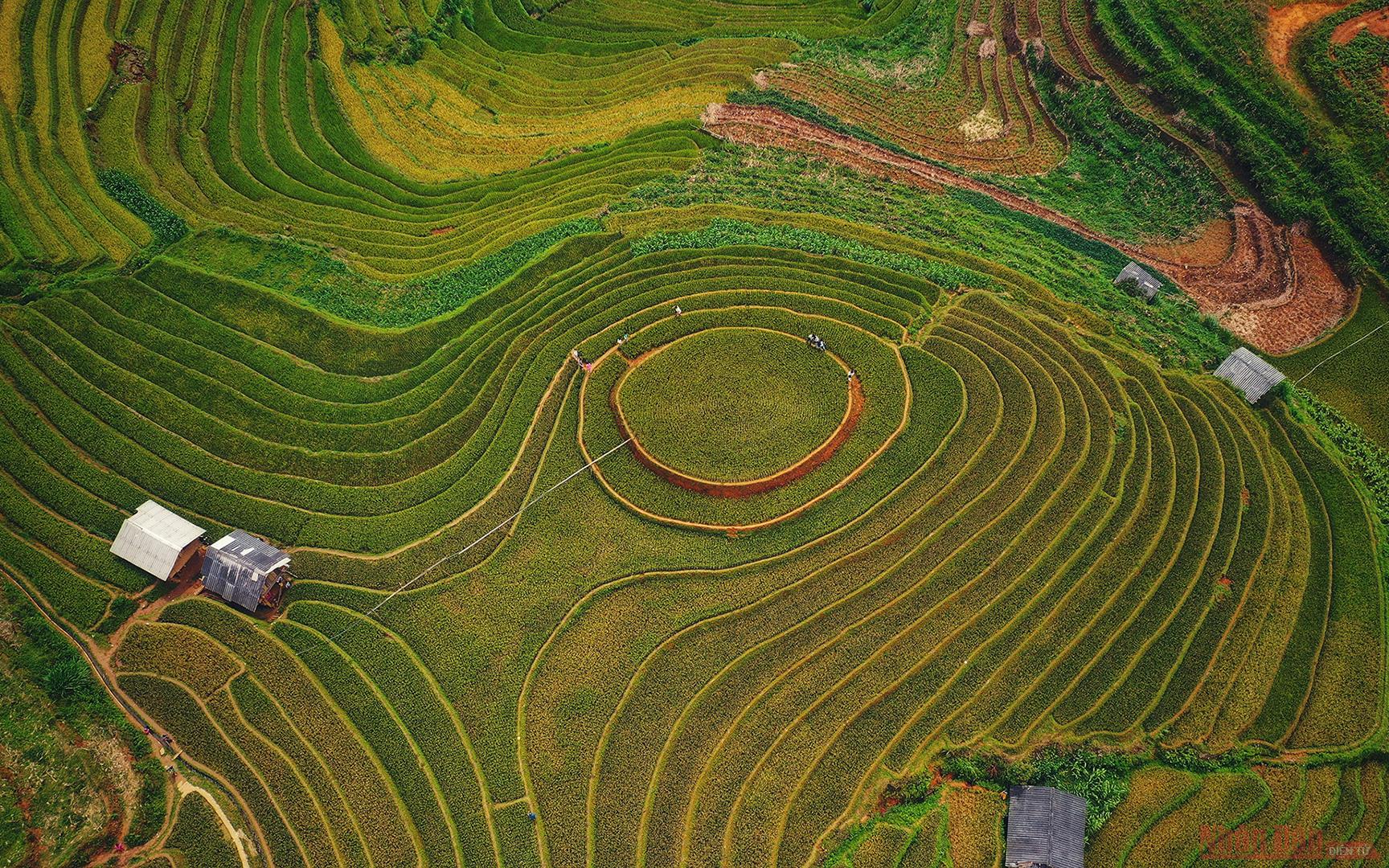 安沛省姆庚寨梯田美景尽收眼底