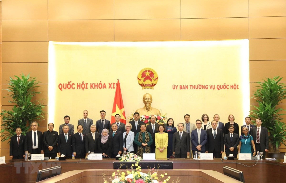 越南国会常务副主席丛氏放会见出席AIPA 41的各国大使