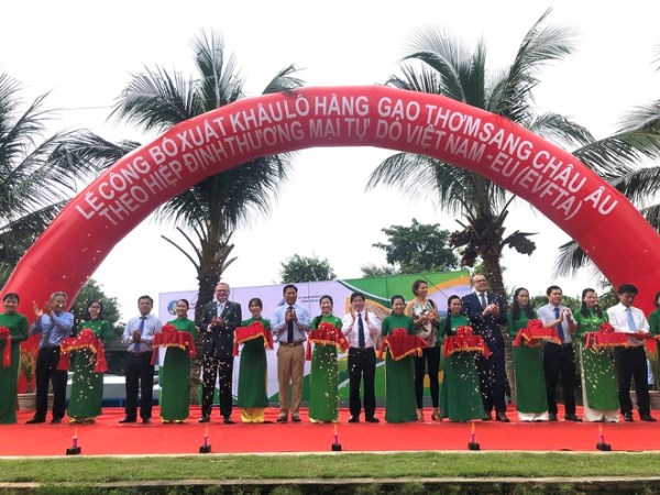 越南大米正迎来进入欧盟等潜力市场的巨大机遇