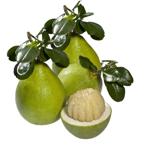 越南西部柚子日益受到市场青睐