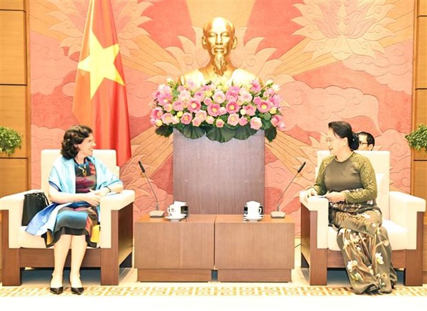 国会主席阮氏金银会见古巴驻越南大使利亚尼斯·托雷斯·里维拉