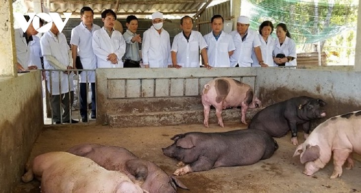 越南有机农产品遍布全球180个国家