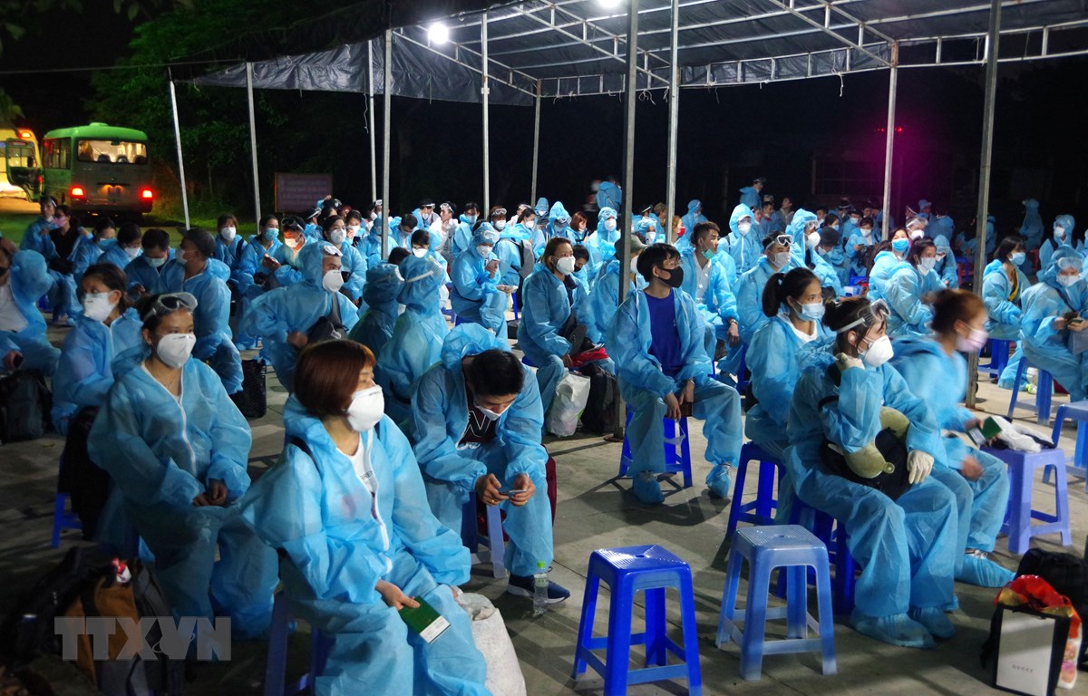 越南将滞留在俄罗斯、莫桑比克和挪威的公民接送回国
