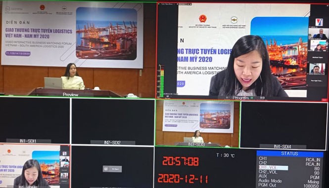 促进越南与南美物流合作对接