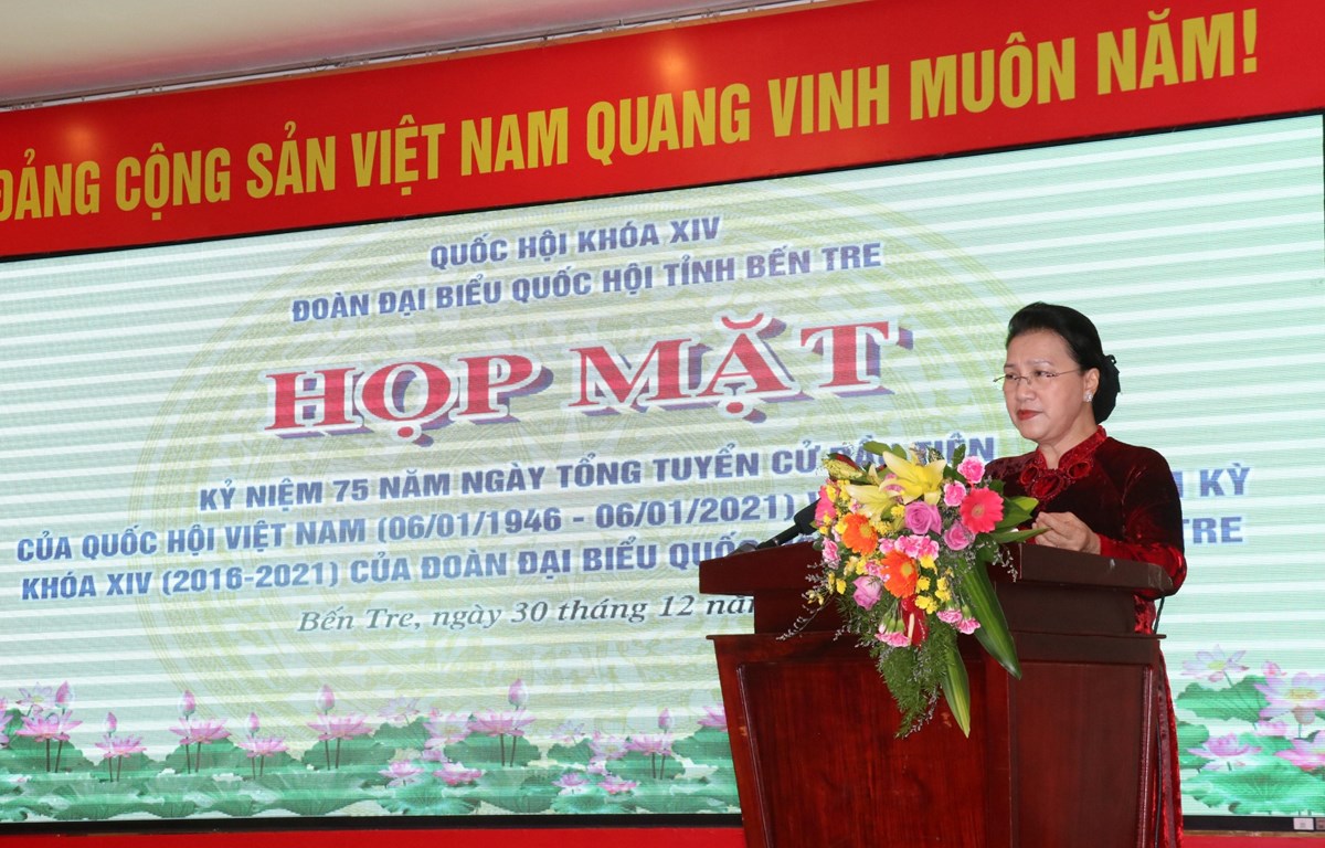 国会主席阮氏金银出席越南国会首个大选日75周年庆典