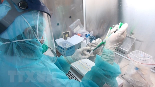 越南在猴子身上进行试验另一款新冠疫苗