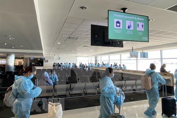 新冠肺炎疫情：越南将在美国的近360名公民接送回国