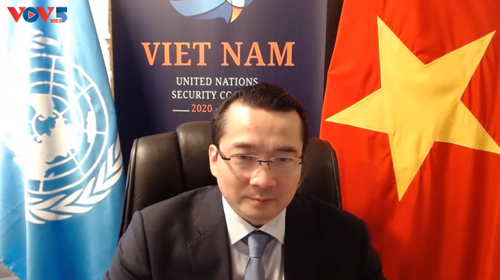 越南主持召开联合国安理会南苏丹问题委员会视频会议
