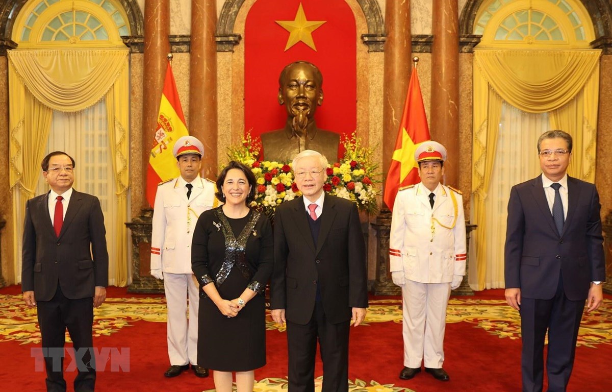 阮富仲同志：越南国家和政府一向为各国大使完成在越工作任期创造便利条件