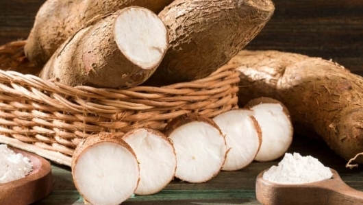 2020年越南木薯和木薯产品出口额达9 89亿美元