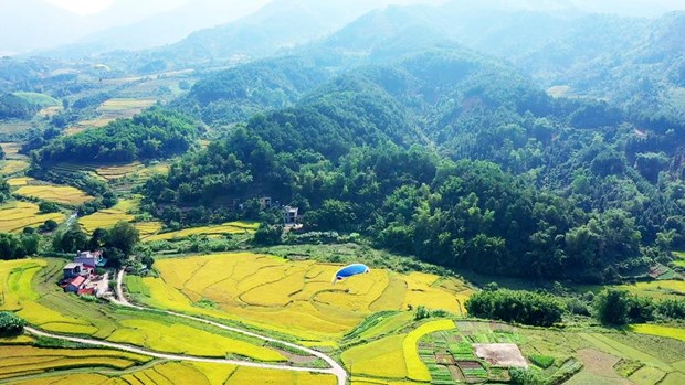 探索广宁省平辽边境地区的荒野之美