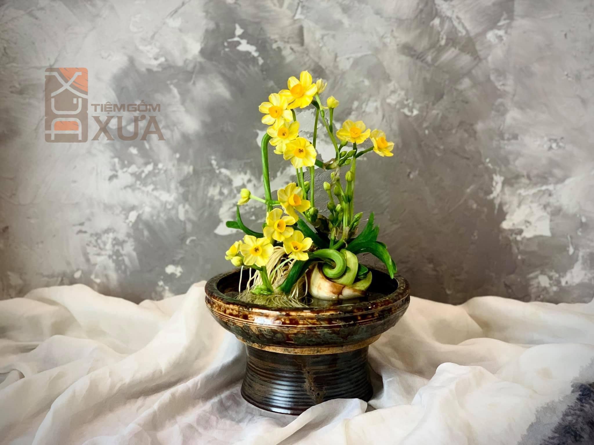 养水仙——河内人过春节的美俗