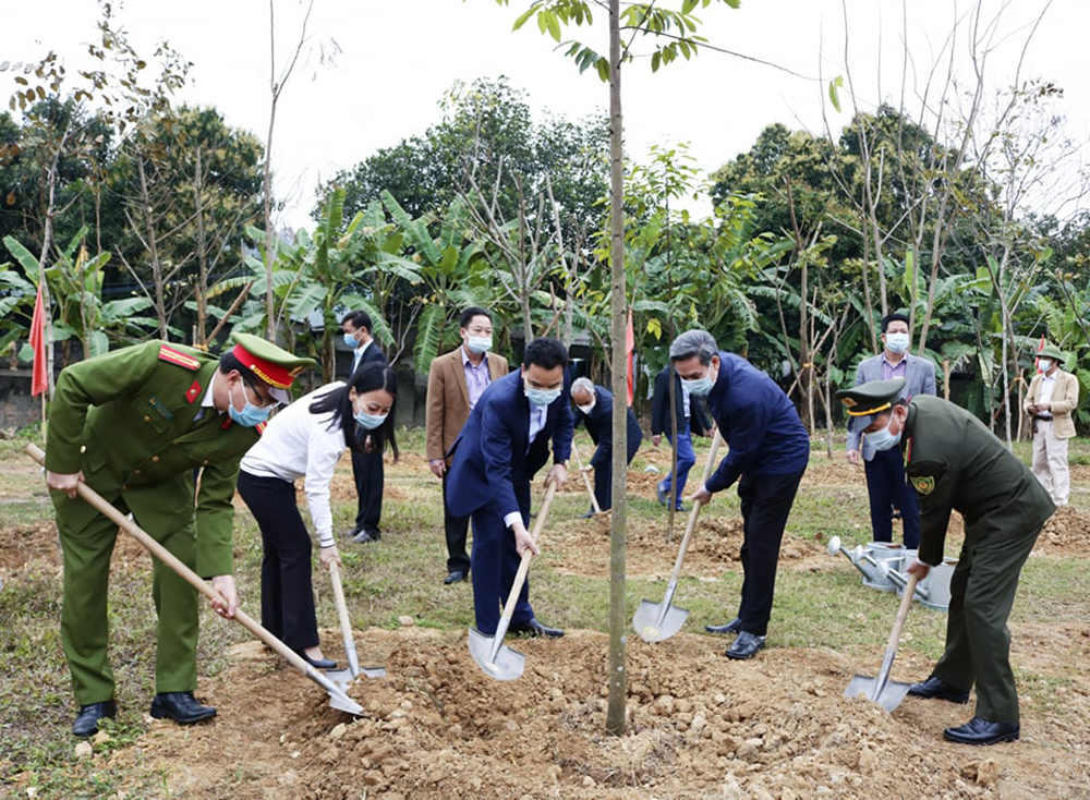全国各省纷纷举行2021辛丑年春季植树节活动