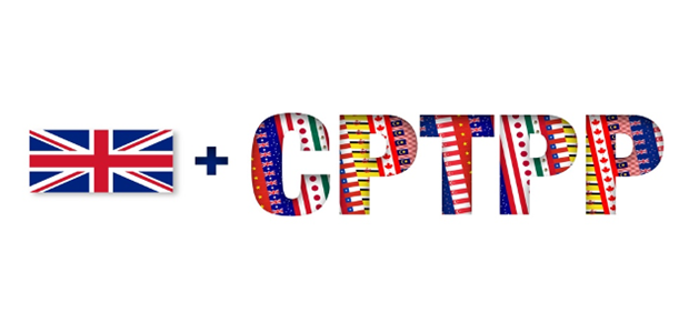 越南愿同英国分享加入CPTPP的相关信息和经验