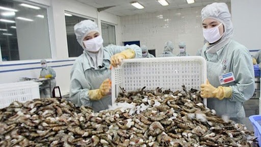 越南有望成为世界虾类产品主要生产国