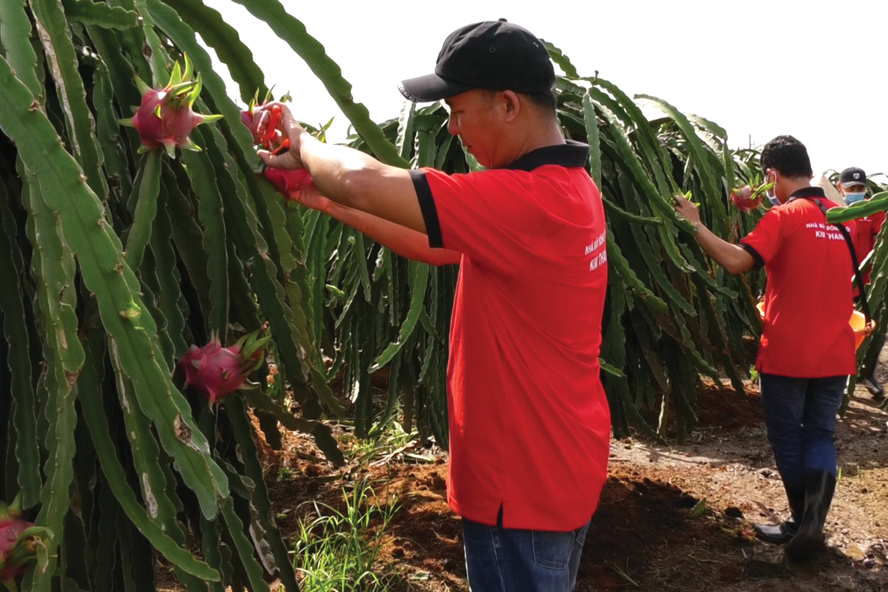 年初两个月越南农林水产品出口额达61 7亿美元