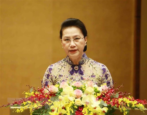 国会主席阮氏金银：健全国家选举委员会以继续指导选举工作