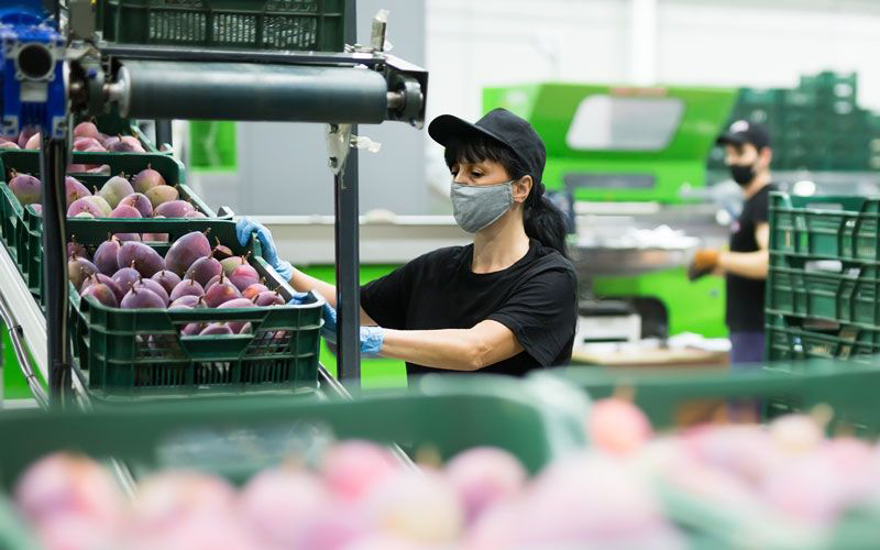 世贸组织预计全球贸易将持续复苏