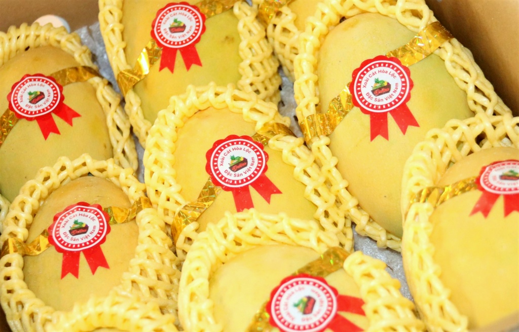 遵循越南良好农业规范种植芒果 面向潜力出口市场