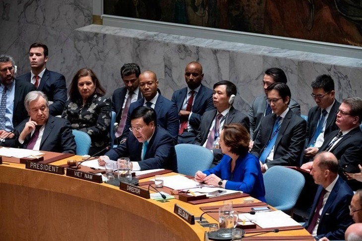 越南出色履行联合国安理会轮值主席国职责