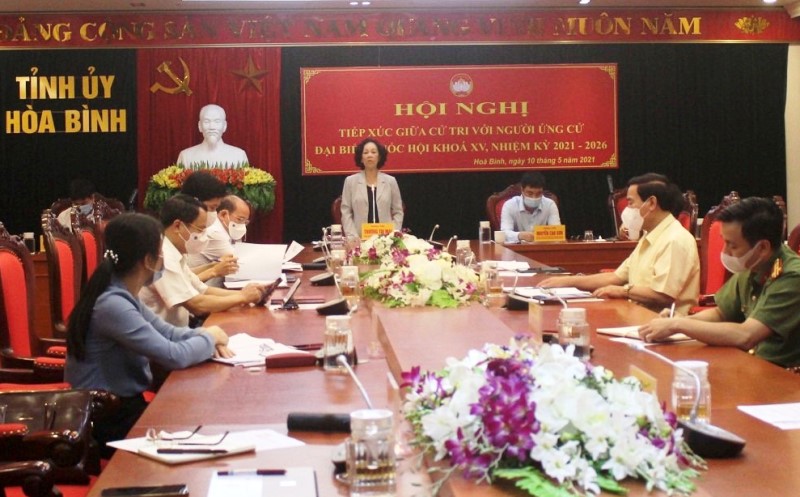 越共中央组织部部长张氏梅出席与和平省选民见面会