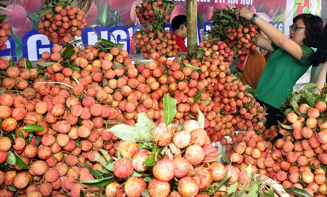 通过金城口岸向中国出口3400吨早熟荔枝