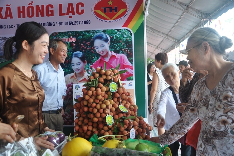海阳省荔枝将在4个电商平台上销售