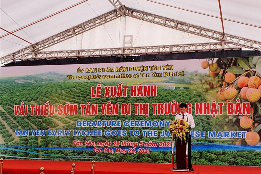 北江省20吨早熟荔枝今日启程发运日本