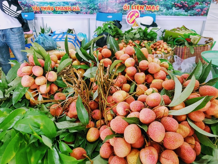 海阳省荔枝首次出口到泰国