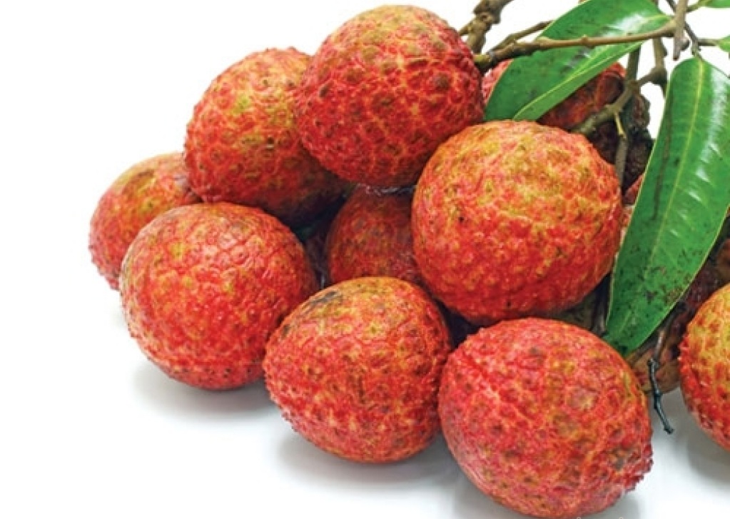 越南向欧洲出口按照EVFTA协定的首批荔枝