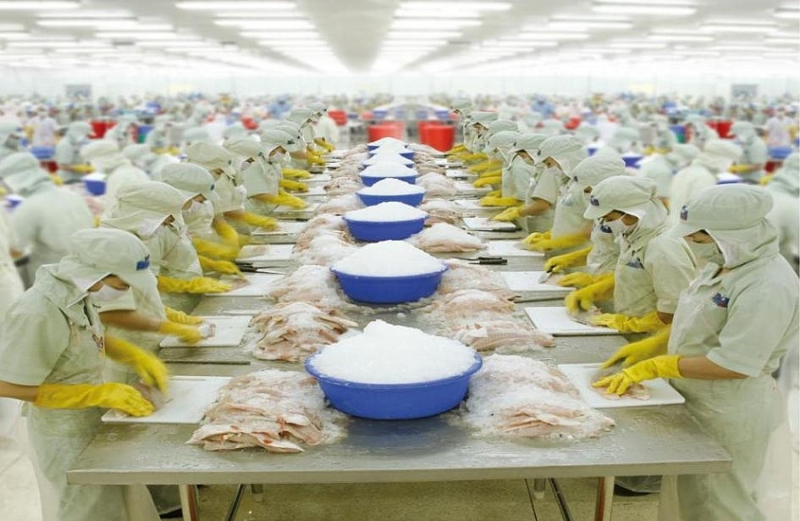 九龙江平原地区水产品出口额跃居全国第一