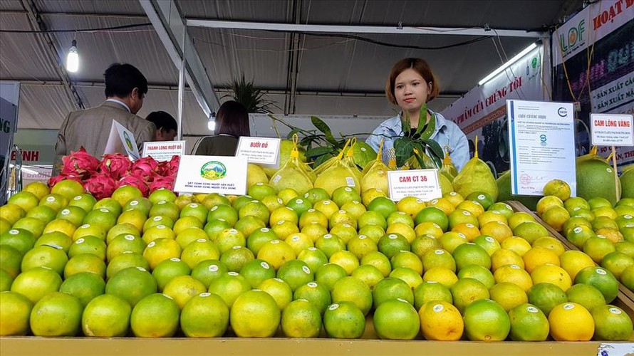 2021年越南果蔬出口额有望达40亿美元